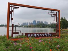 -顺峰山公园