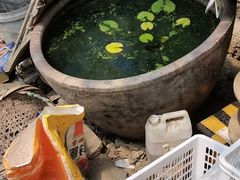 -马陆小张葡萄园农家乐