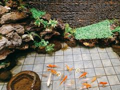 -尚源温泉水汇