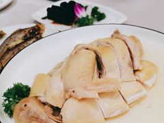 南华水晶鸡-新南华大酒店(广中店)