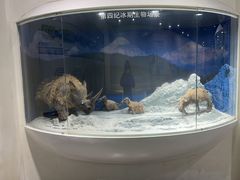 -中国第四纪冰川遗迹陈列馆