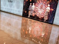 -DIOR迪奥(德基广场女装店)