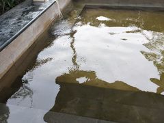 -咸宁万豪温泉谷度假区