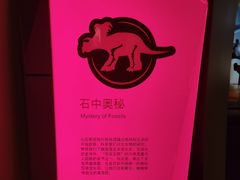 -正佳自然科学博物馆