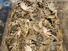 -海天一色海景自助餐厅(西港花园店)