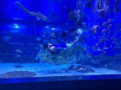 -顺德南宏海立方海洋公园