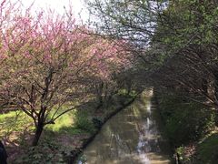 -同里国家湿地公园