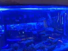 -上和臻品中国菜(花园街店)