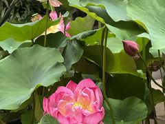 -田园印象·成都土菜院子(华阳店)