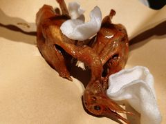 -鸽子侯·家宴·平价海鲜(市图书馆店)