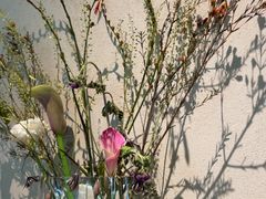 -BOCATA 西班牙餐厅(三里屯店)