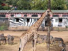 -大连森林动物园