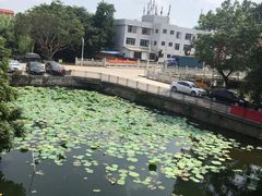 -烟桥私房菜馆(奋哥)