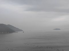 -北岐滩涂