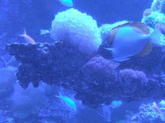 -太平洋海底世界