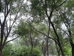 -绿堤公园