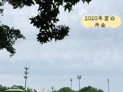 -柳浪游泳场