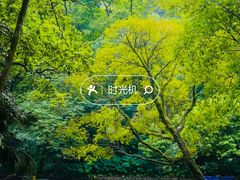 -海珠湖公园