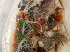 -秦月轩·长安小馆·新陕菜(阜成路·五棵松店)