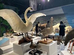 -中国湿地博物馆