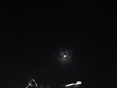 灯光秀-白鹭洲公园