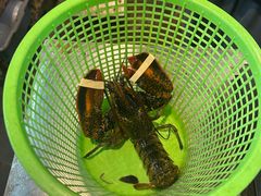 -庆余生平价生猛海鲜(海棠湾林旺夜市店)