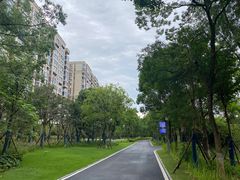 -洋湖国家湿地公园