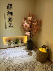 -颜和骨正·明哲式骨相美学整骨