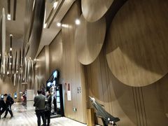 -武商摩尔影城(国广IMAX激光店)