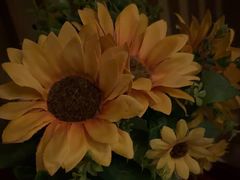 -润生源足道·SPA(个园店)