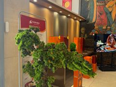 -大秦瓦罐(光谷大街店)