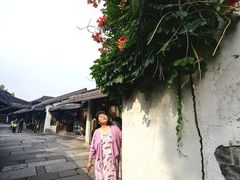 -乌镇东栅景区