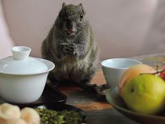 -青竺·青竹茶舍(断桥店)
