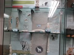 -纽瓦克自由国际机场