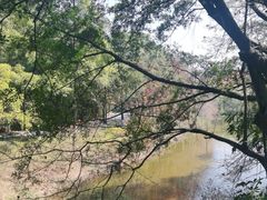 -三水森林公园