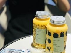 -野萃山·潮汕厚果汁(十亩地店)