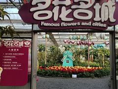 -南宫五洲植物乐园