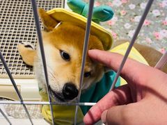 -龙湖南京江北天街