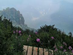 -白草畔自然风景区