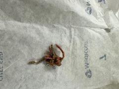 -爱侣宠医·鹦鹉专科·小型哺乳类·异宠专科(灵石路店)