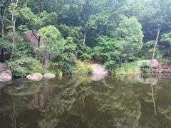 -鲁山国家森林公园