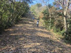 -北仑森林植物园