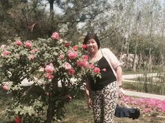 -武清南湖绿博园