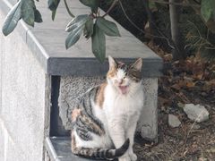 -麦度量贩式KTV(中联广场店)