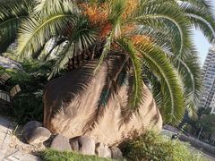 -苏州河梦清园环保主题公园