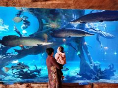 -华夏文旅海洋公园