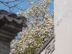 -惠山古镇·寄畅园