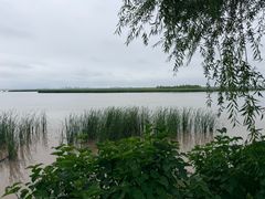 -呼兰河口湿地公园