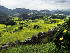 -牛街螺丝田