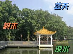 -荔湾湖公园